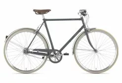 Gazelle Gacela Van Steal H V7 Shimano Nexus 7V Gris 2021